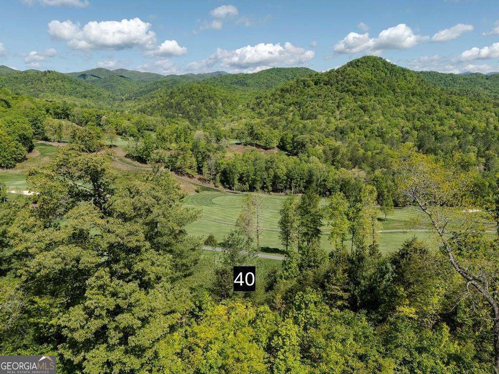 0 Bent Grass Way Property Photo 18