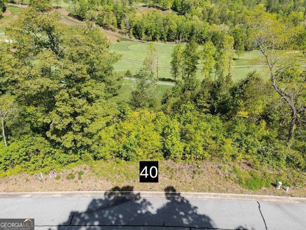 0 Bent Grass Way Property Photo 19