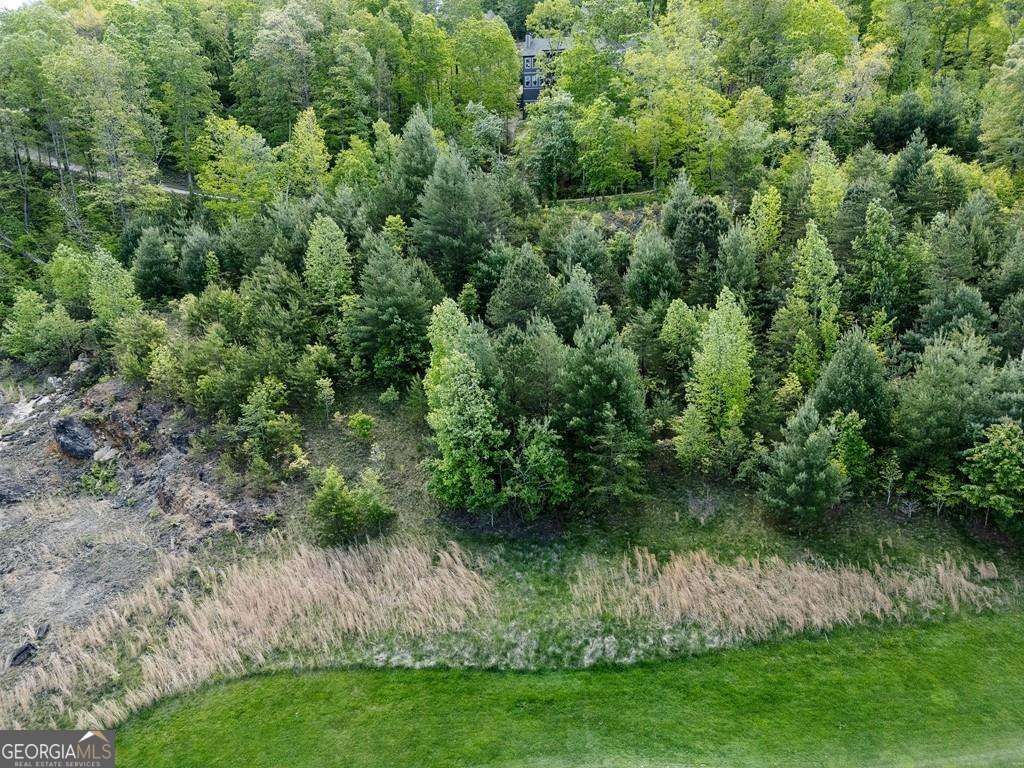 0 Bent Grass Way Property Photo 22