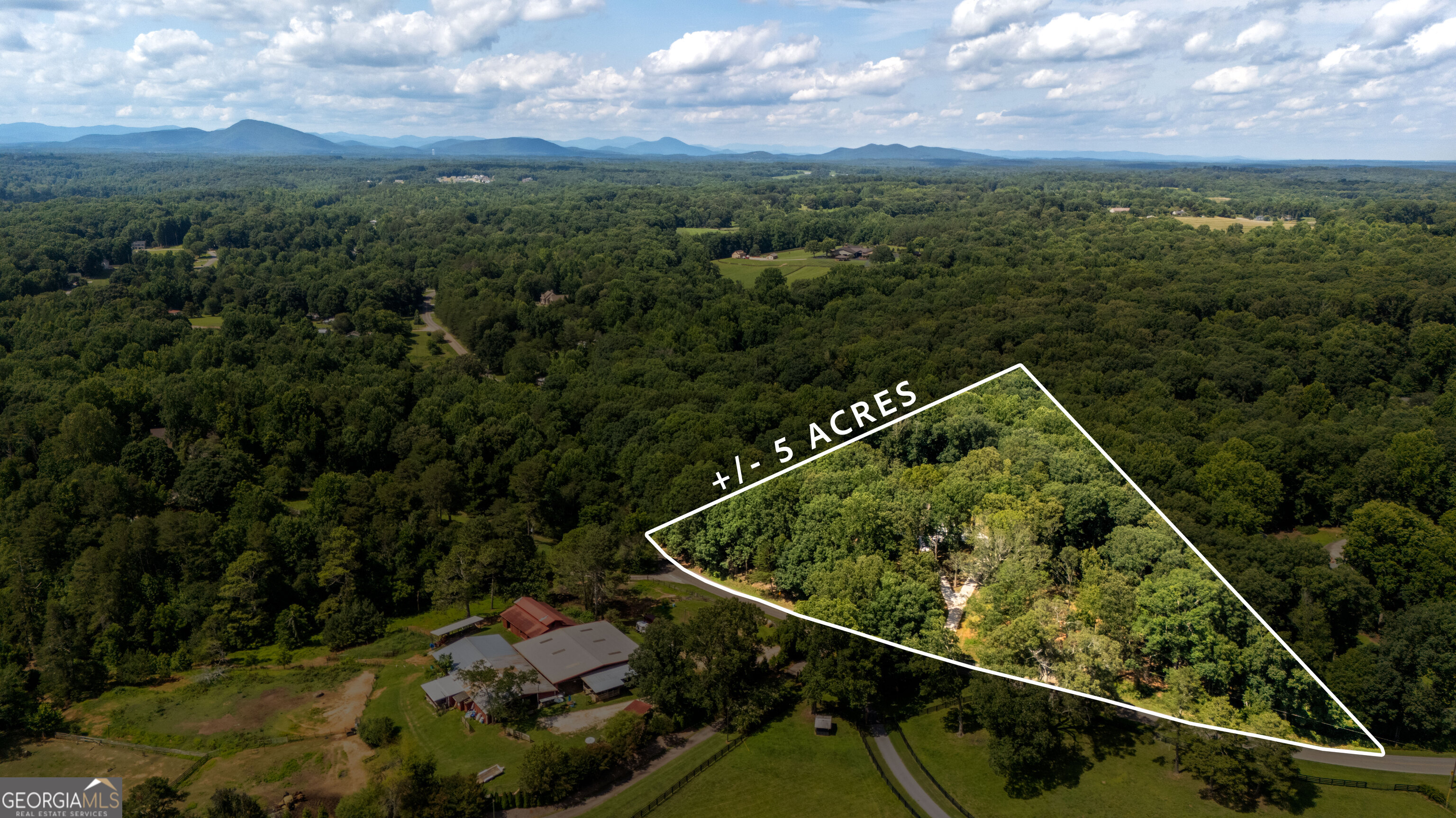 3860 Wiley Road Property Photo 2