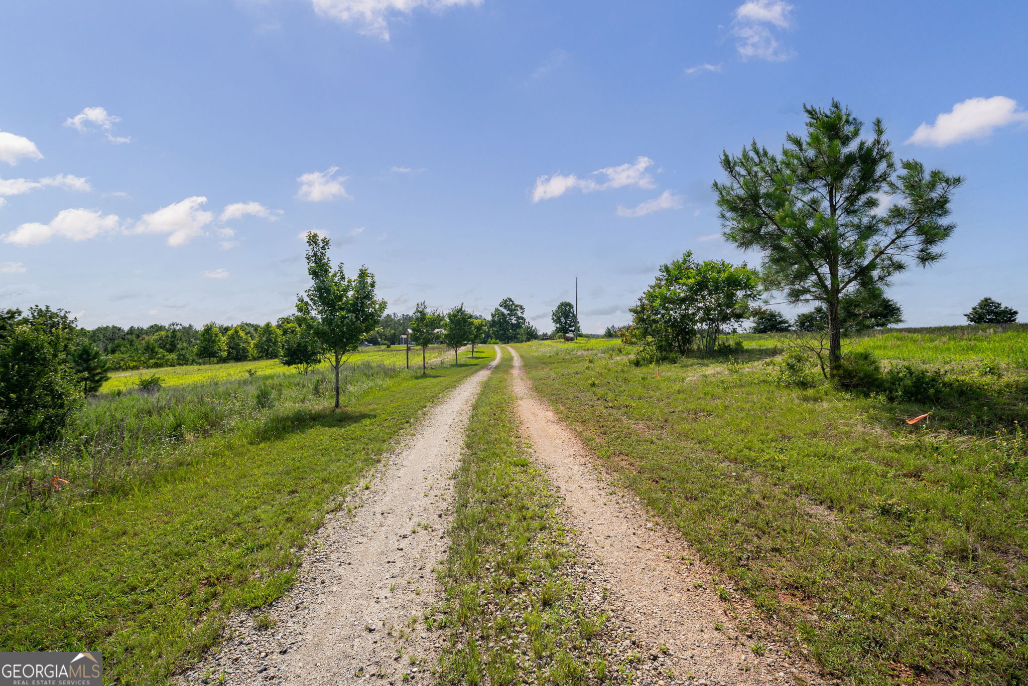 2286 Duffell Martin Road Property Photo 3