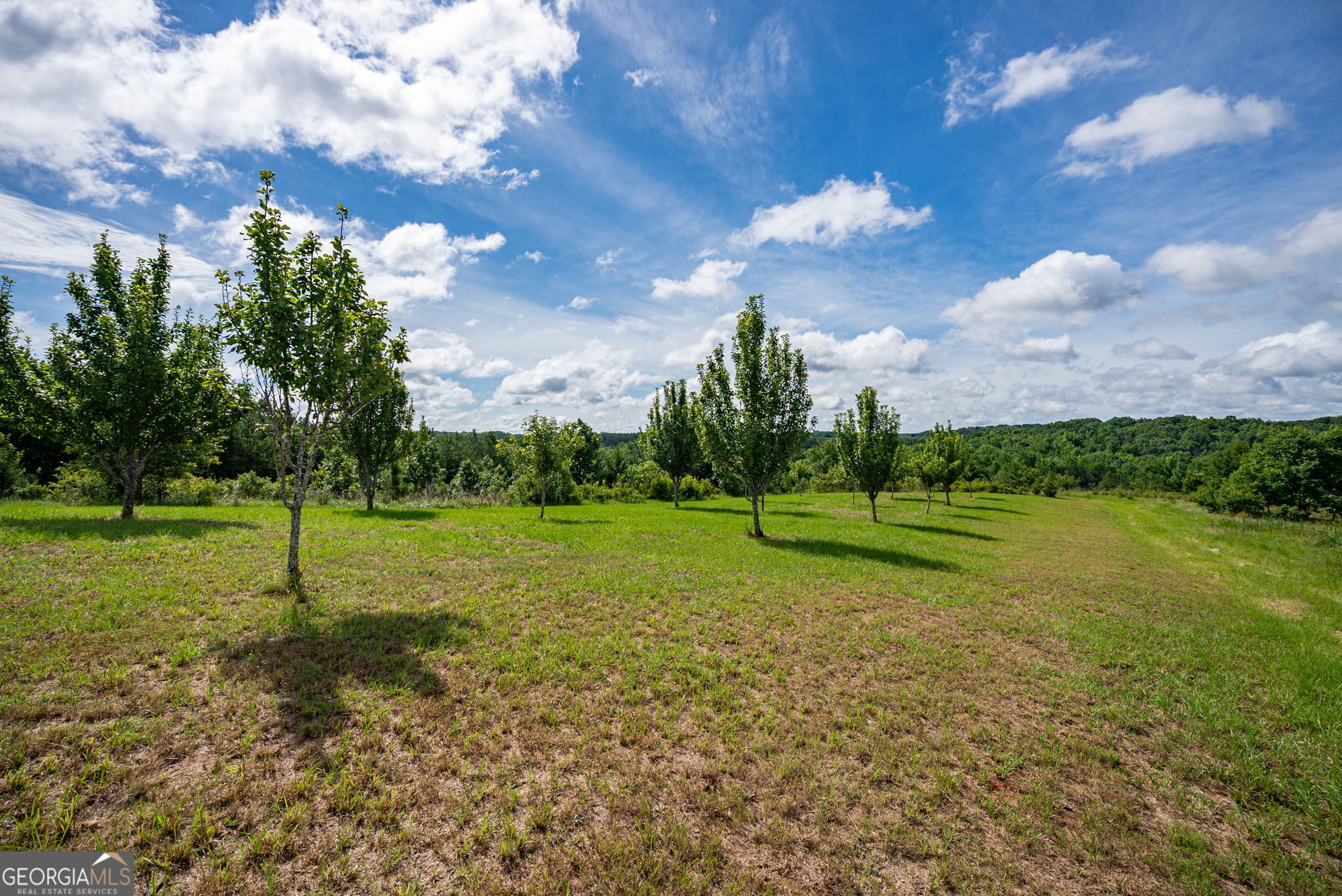2286 Duffell Martin Road Property Photo 12
