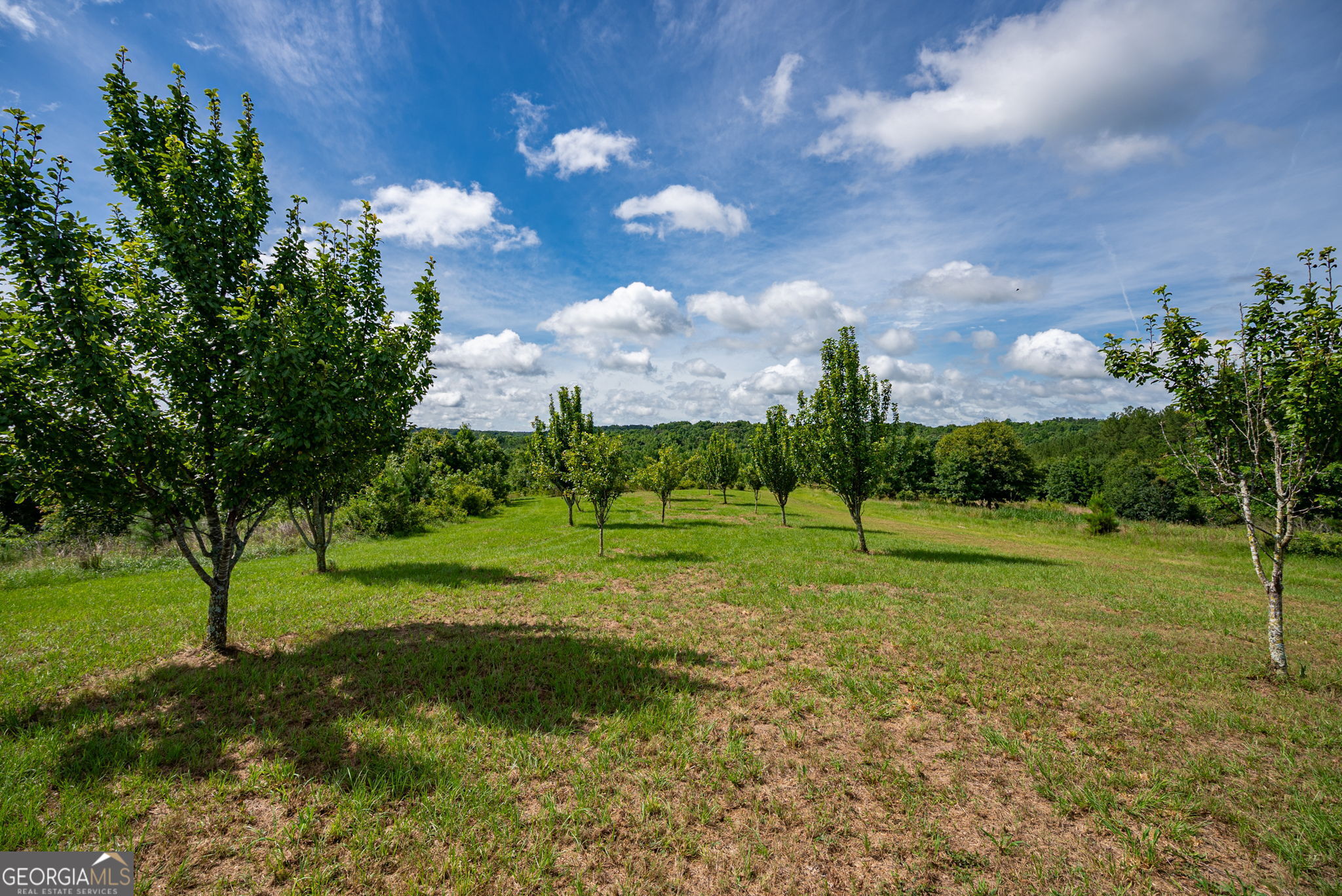 2286 Duffell Martin Road Property Photo 13
