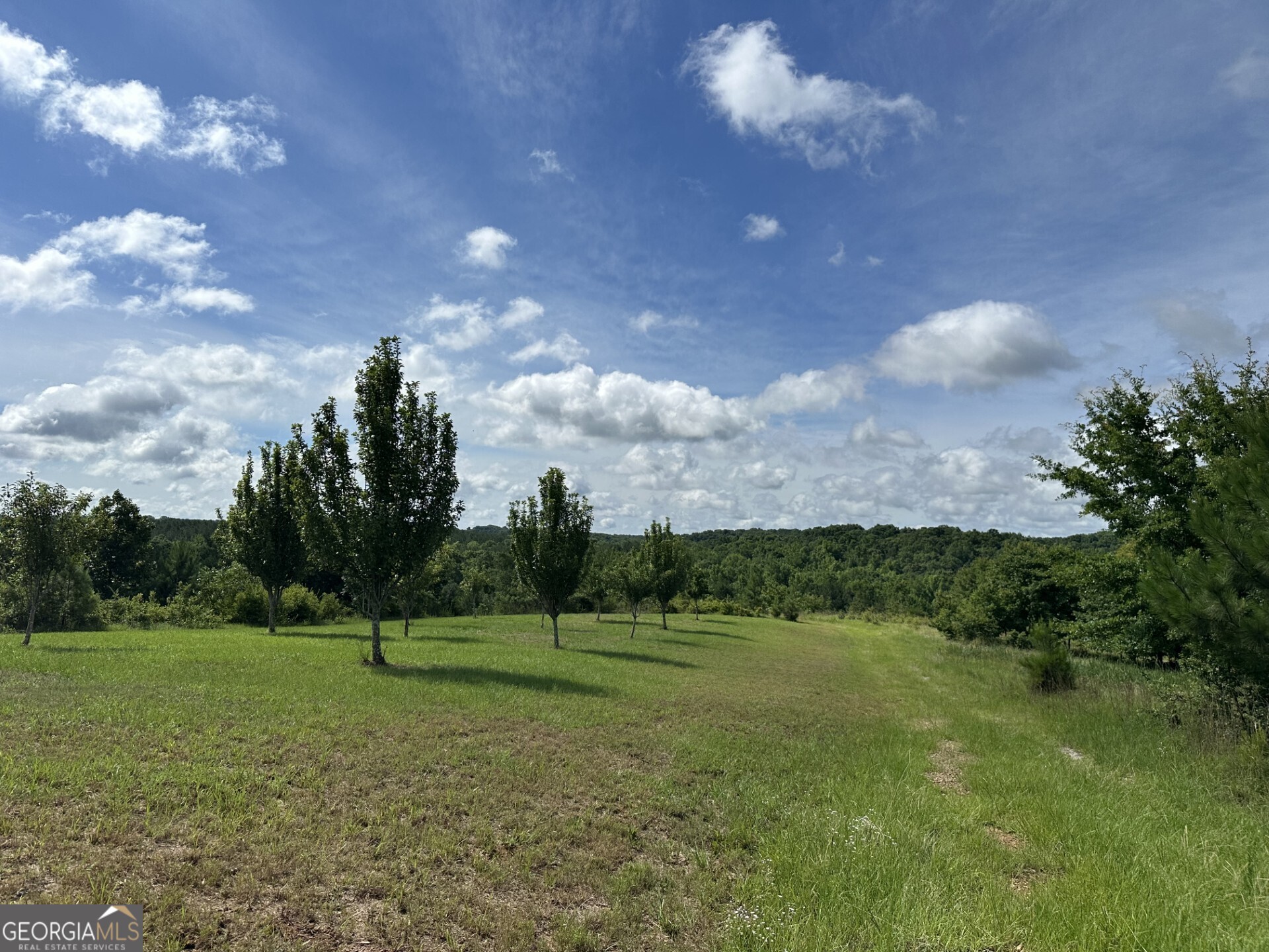 2286 Duffell Martin Road Property Photo 14