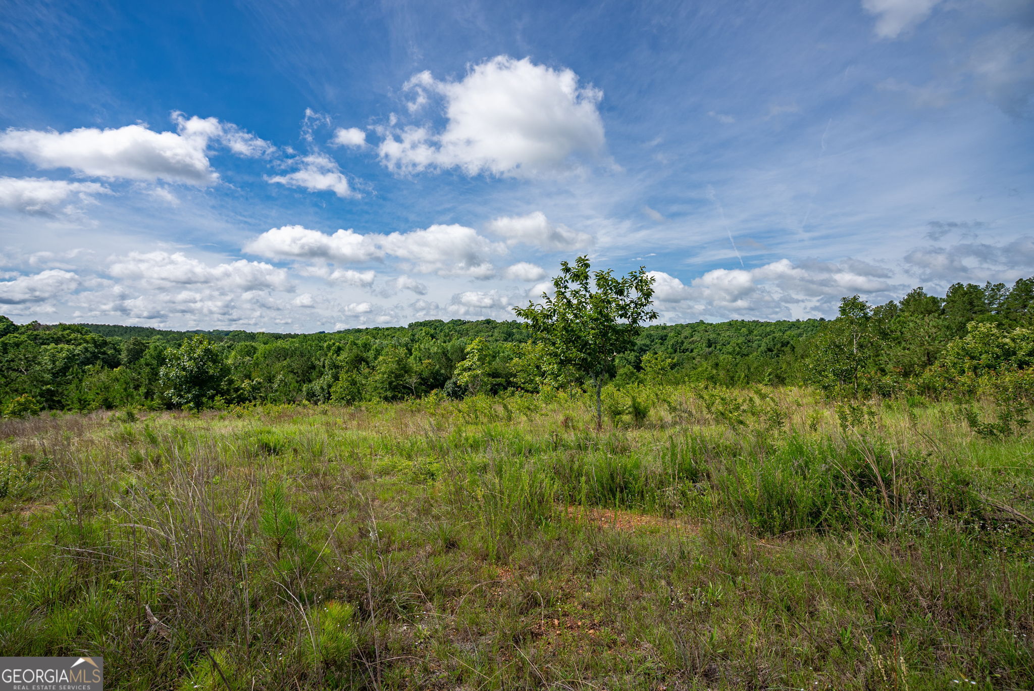 2286 Duffell Martin Road Property Photo 16