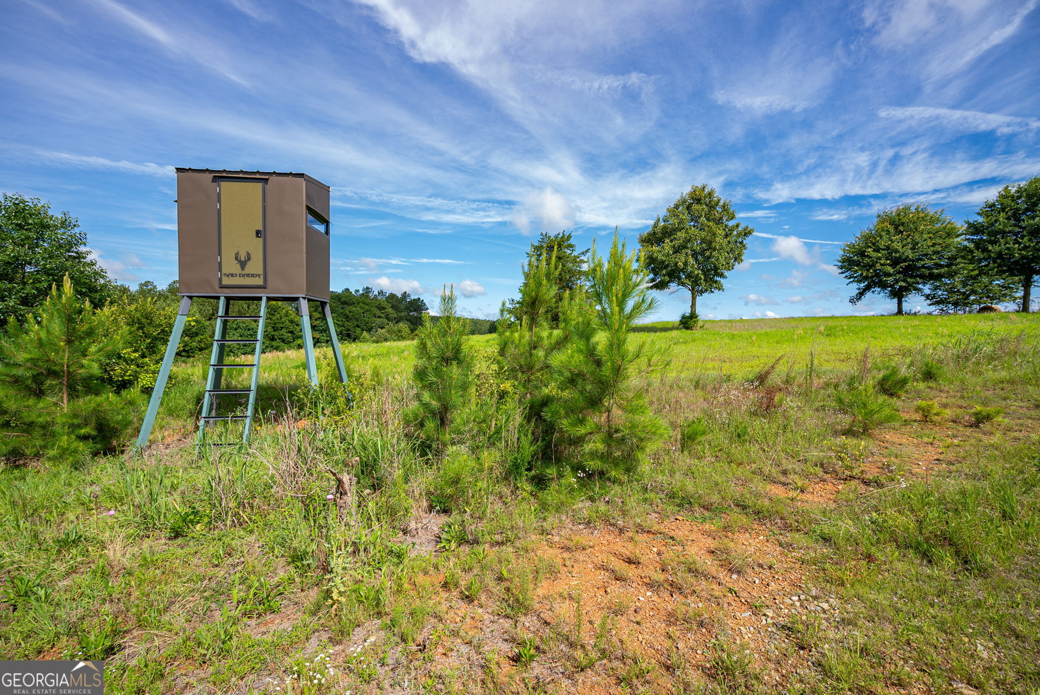2286 Duffell Martin Road Property Photo 18