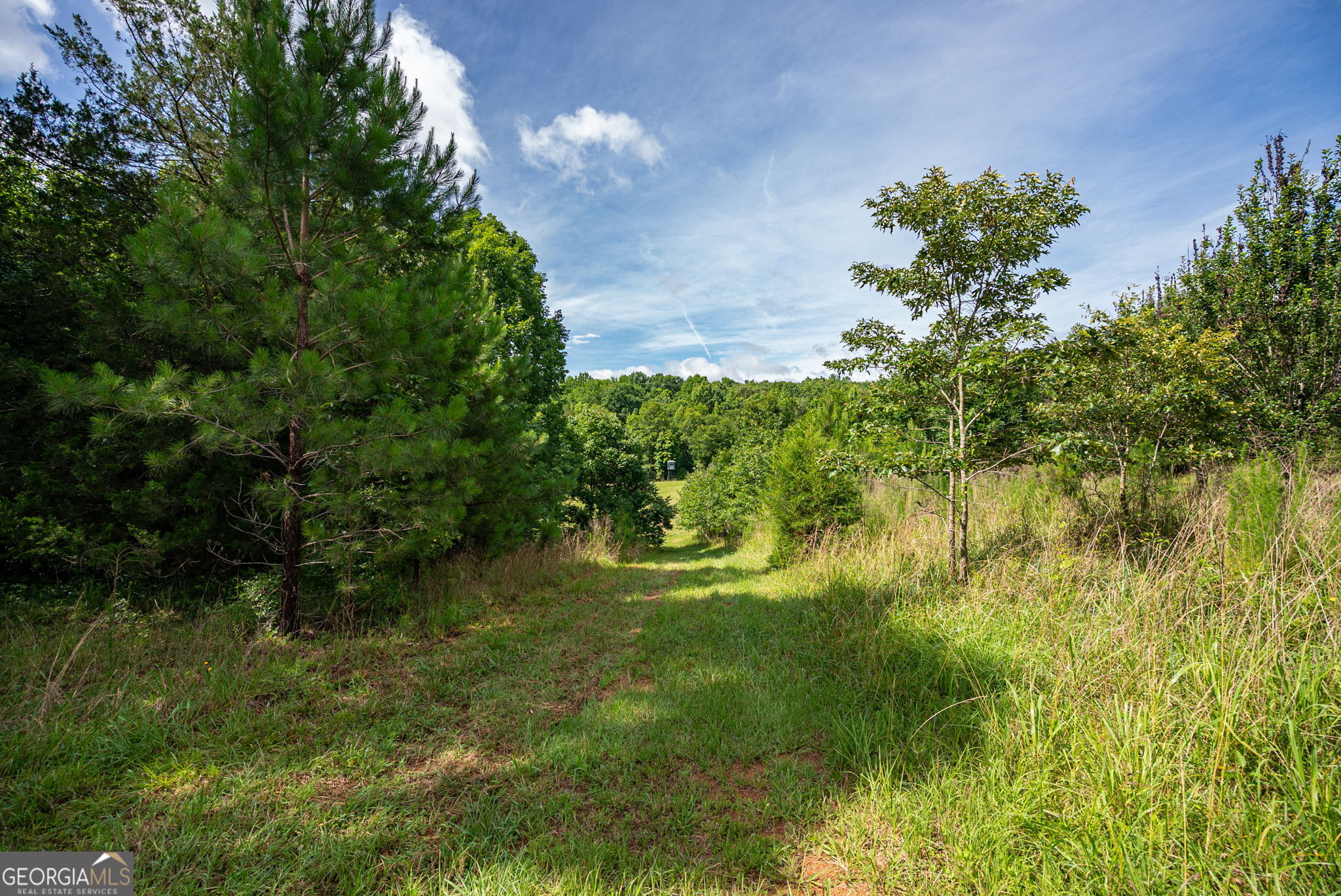 2286 Duffell Martin Road Property Photo 20