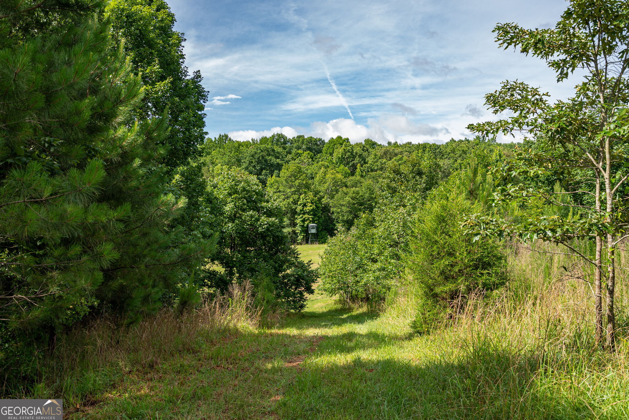 2286 Duffell Martin Road Property Photo 21