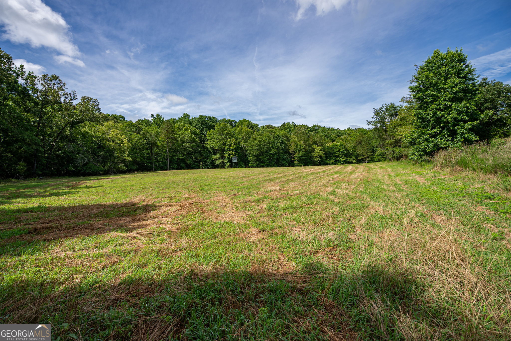 2286 Duffell Martin Road Property Photo 22