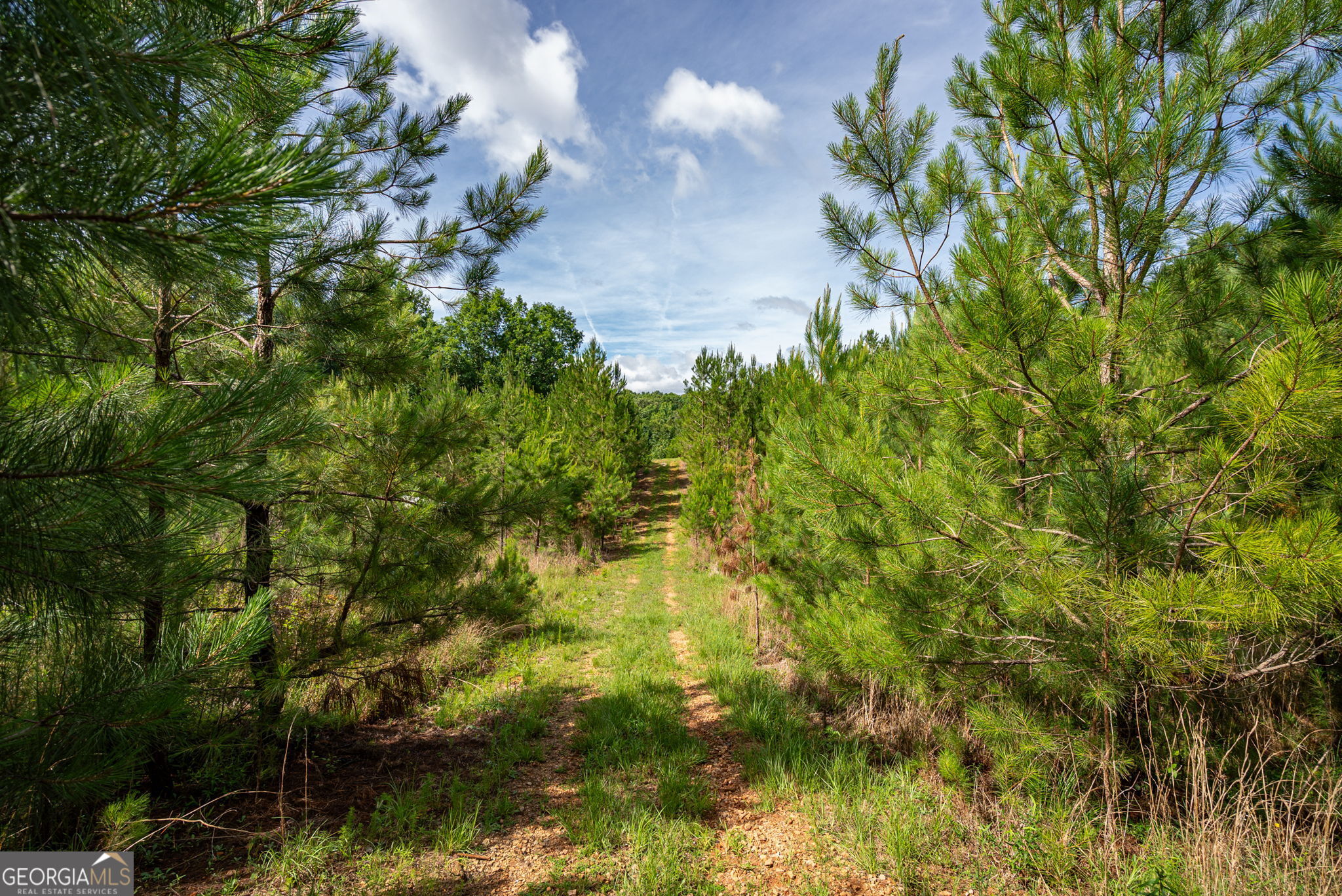 2286 Duffell Martin Road Property Photo 25