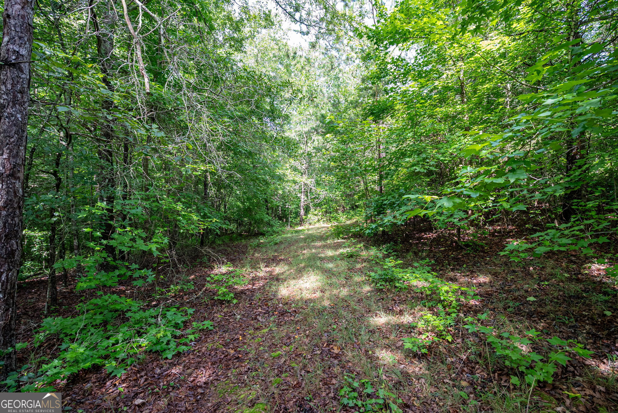 2286 Duffell Martin Road Property Photo 30
