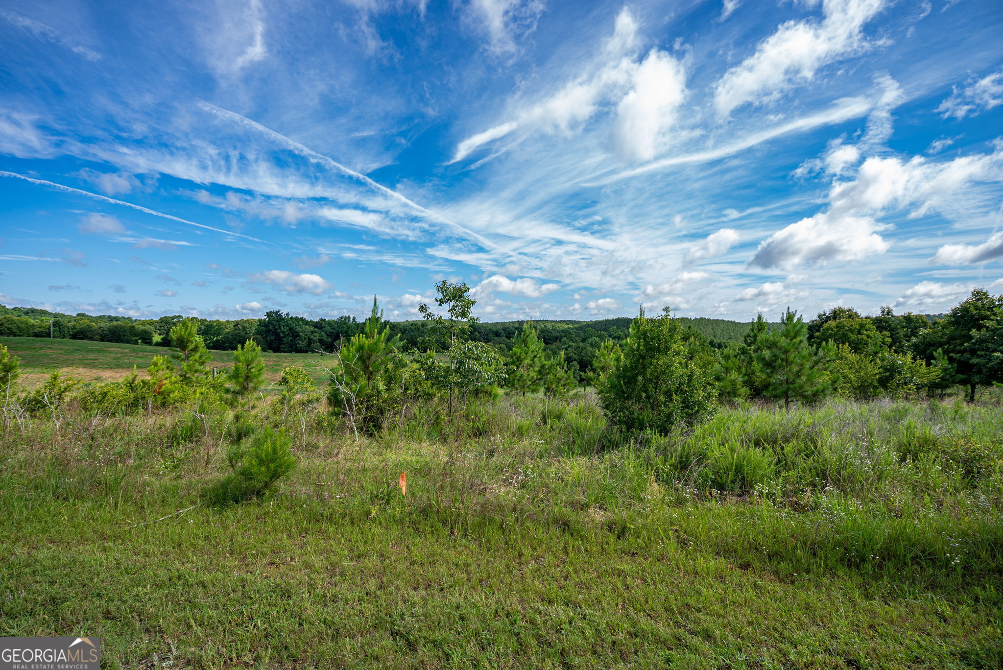 2286 Duffell Martin Road Property Photo 31