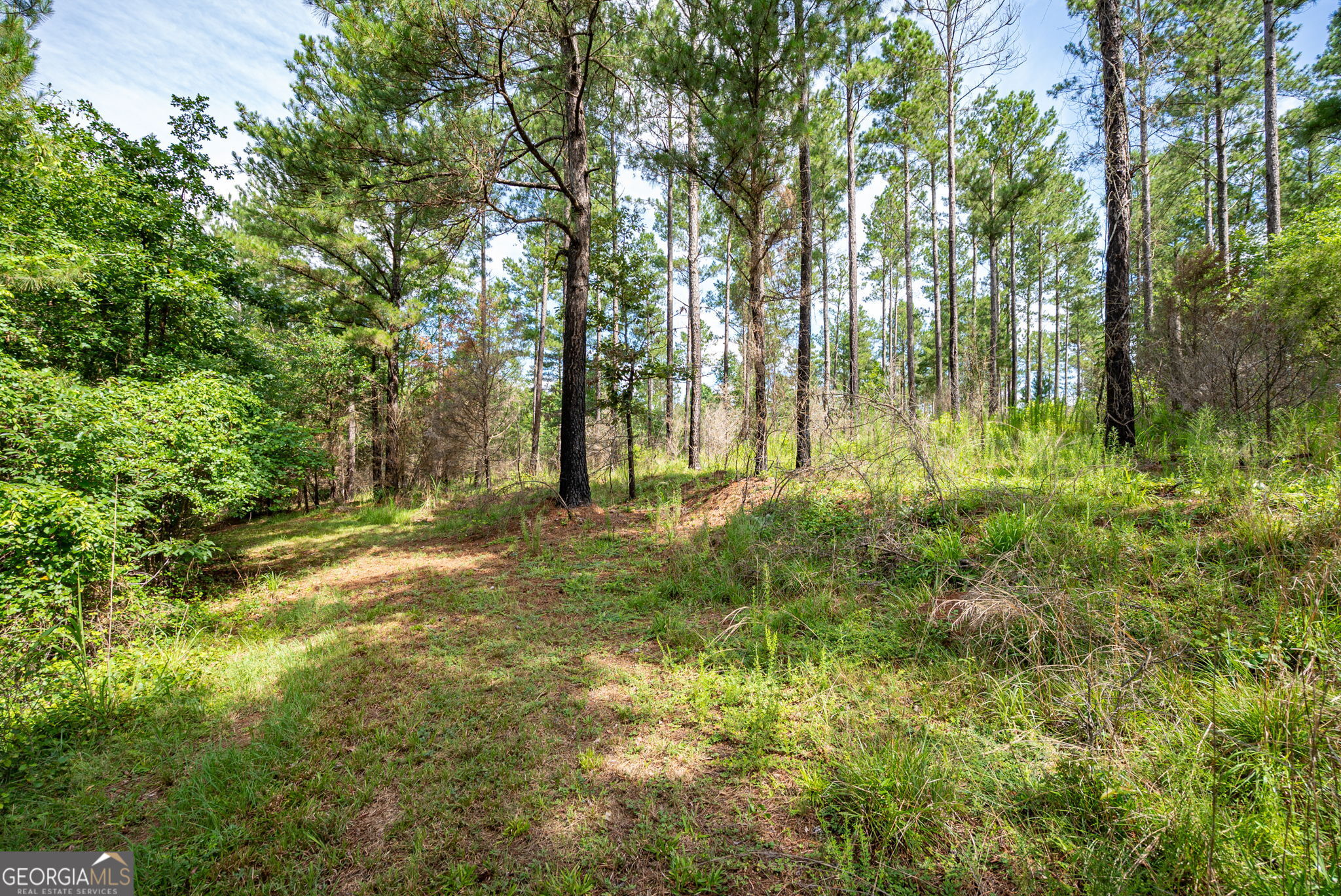 2286 Duffell Martin Road Property Photo 32