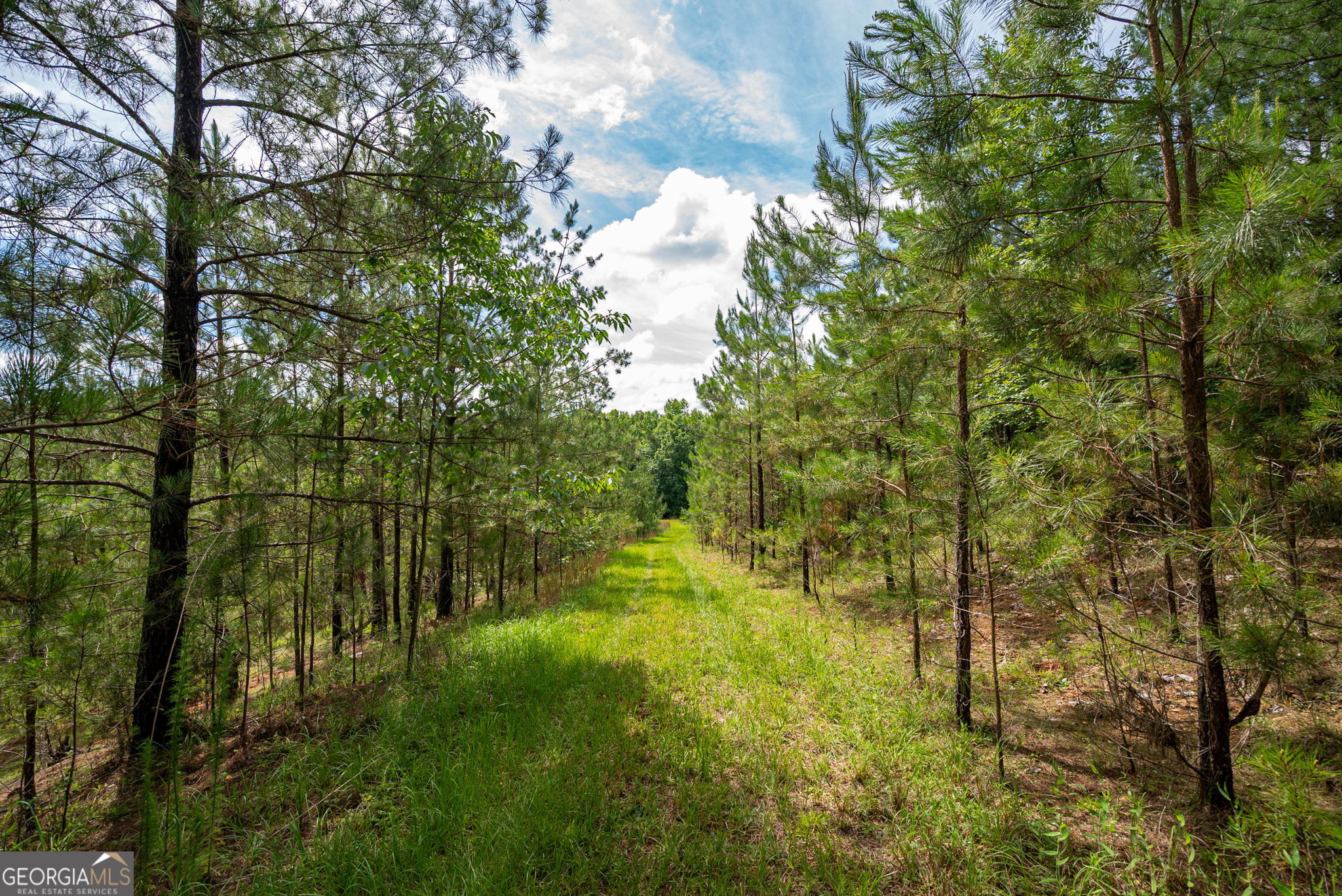 2286 Duffell Martin Road Property Photo 34