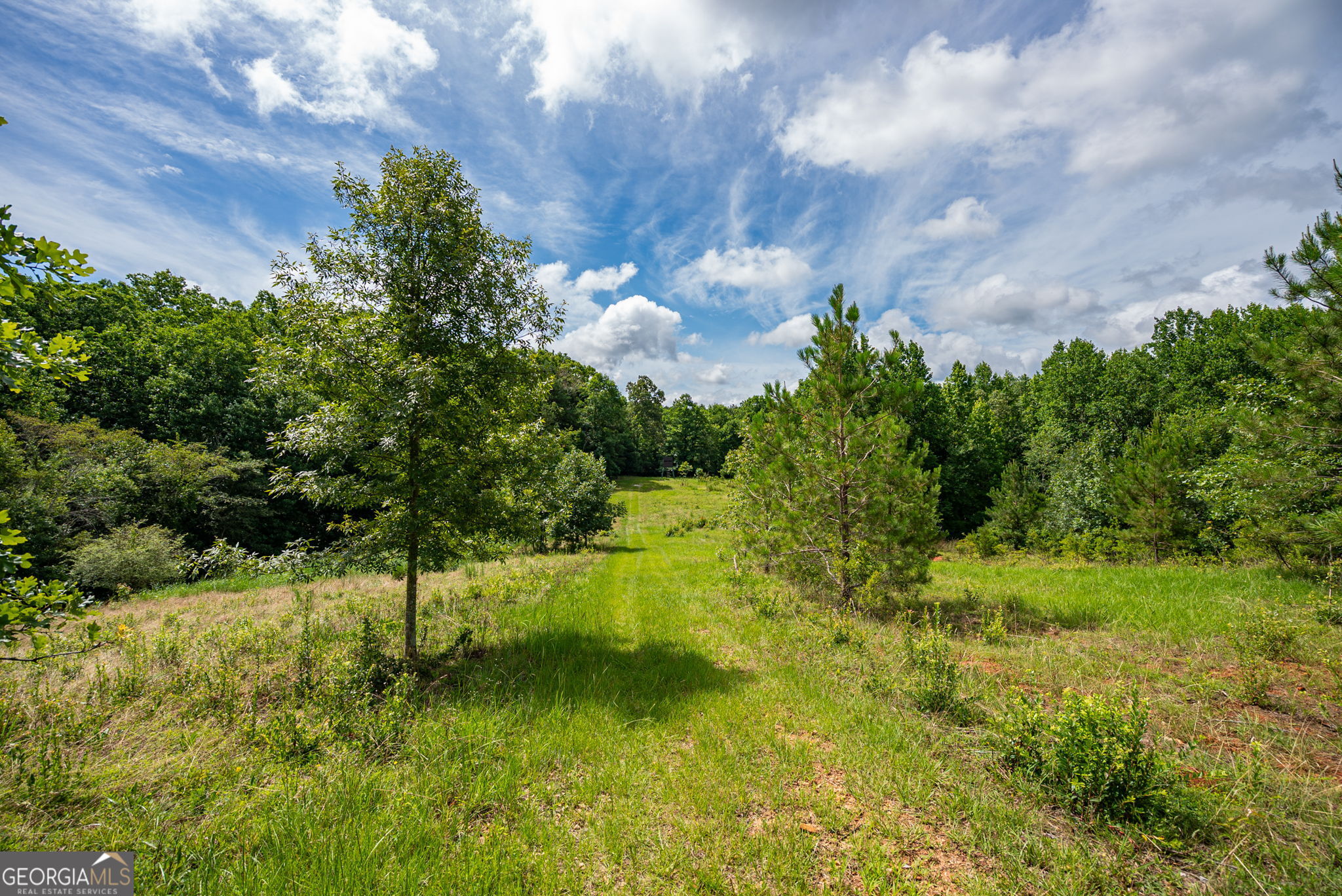 2286 Duffell Martin Road Property Photo 35