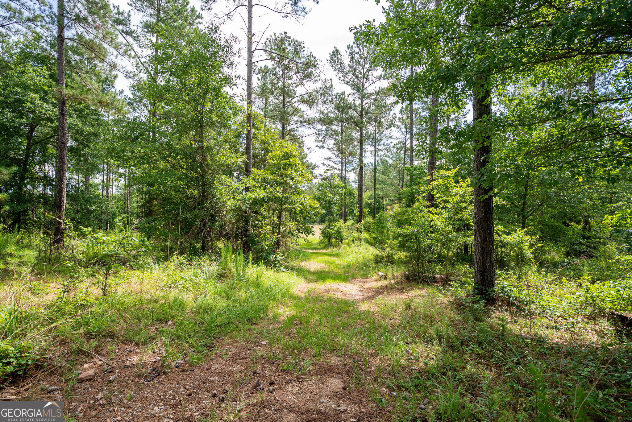 2286 Duffell Martin Road Property Photo 38