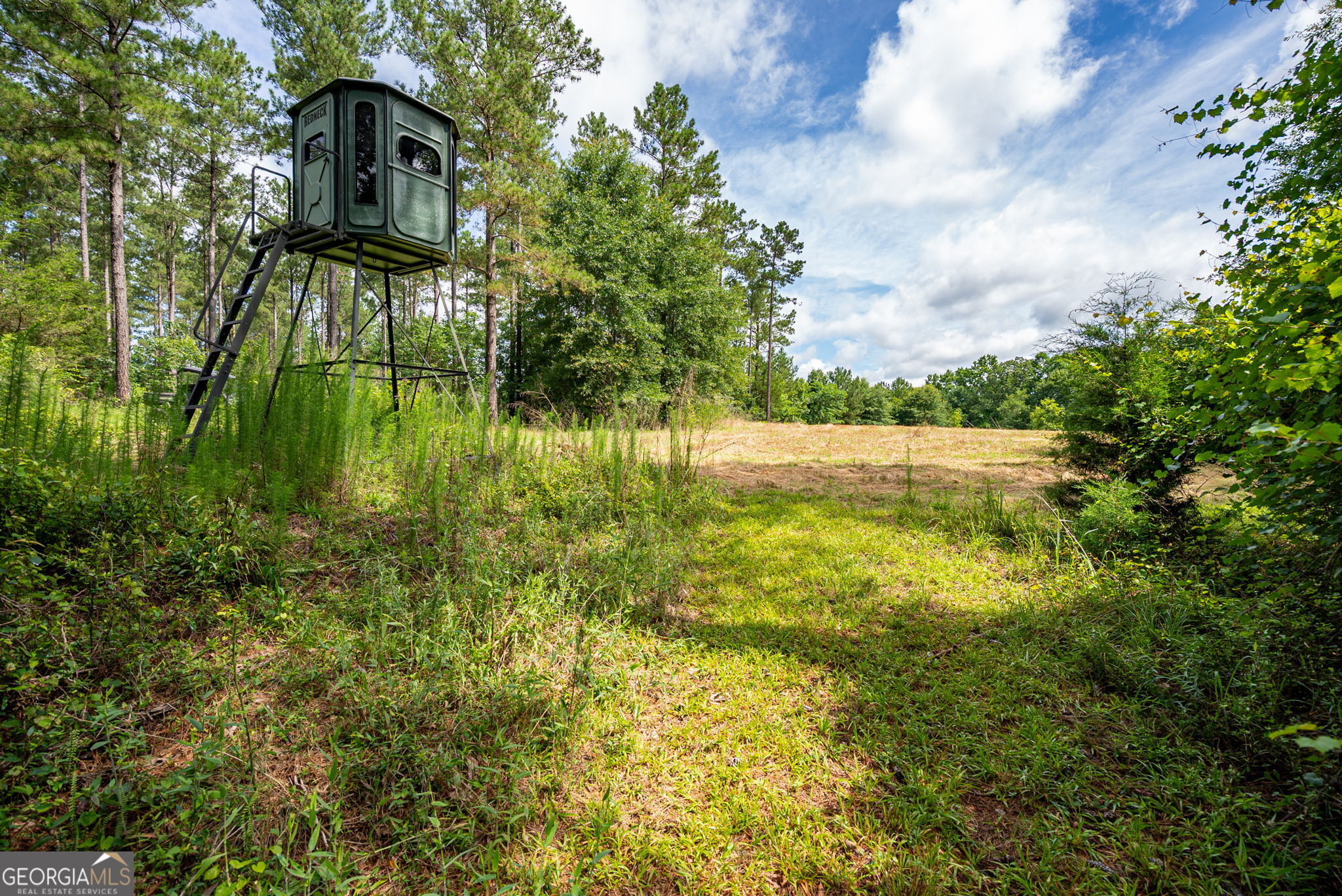 2286 Duffell Martin Road Property Photo 39