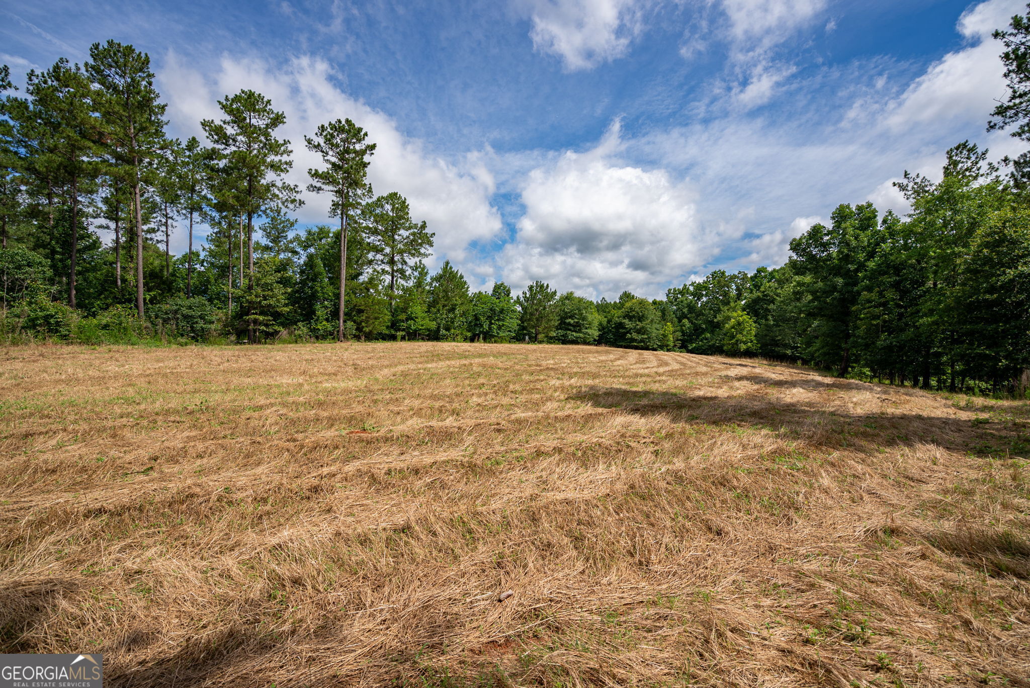 2286 Duffell Martin Road Property Photo 40