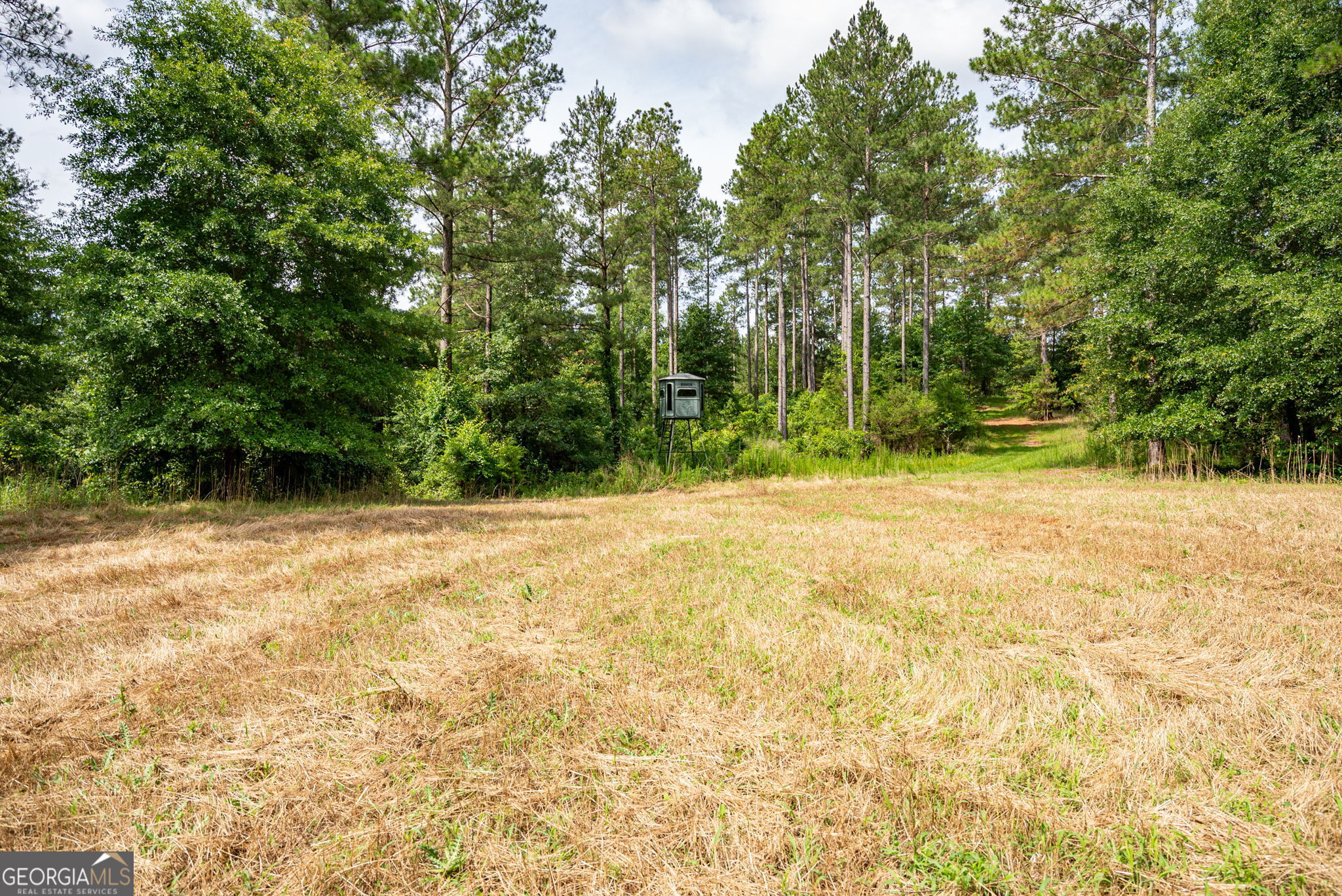2286 Duffell Martin Road Property Photo 41