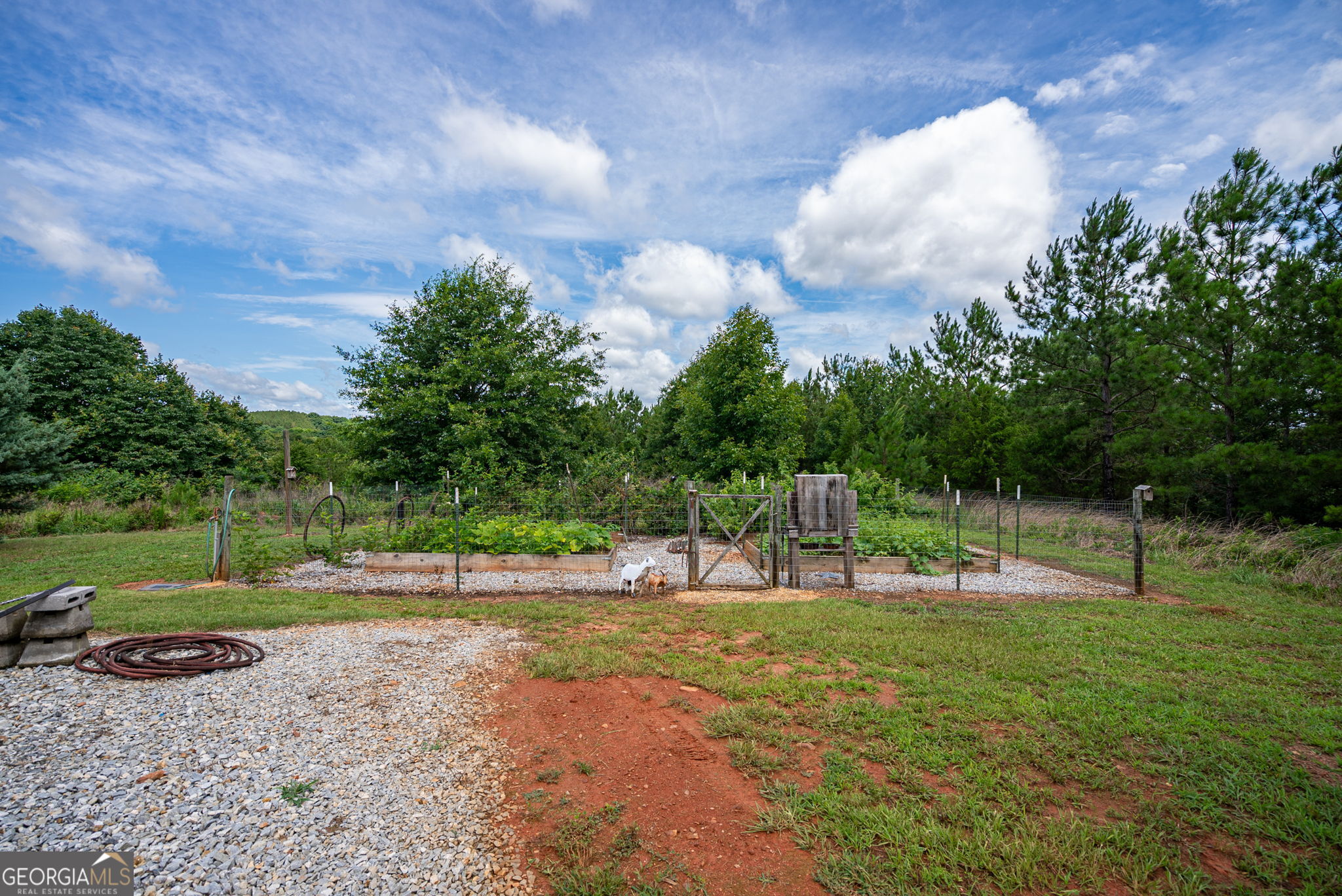 2286 Duffell Martin Road Property Photo 48