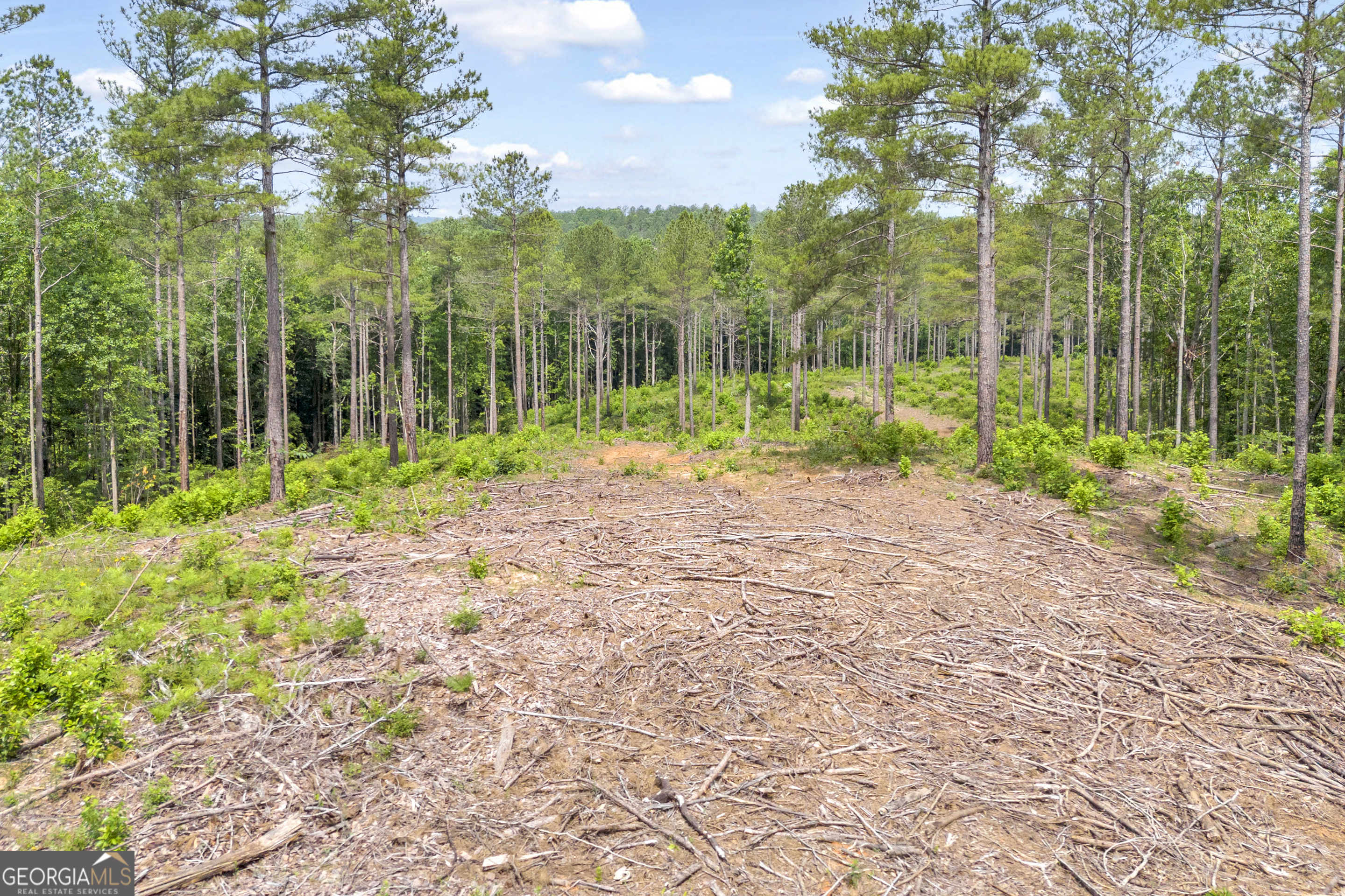 0 Mt. Sinai Lot 4 Property Photo 28