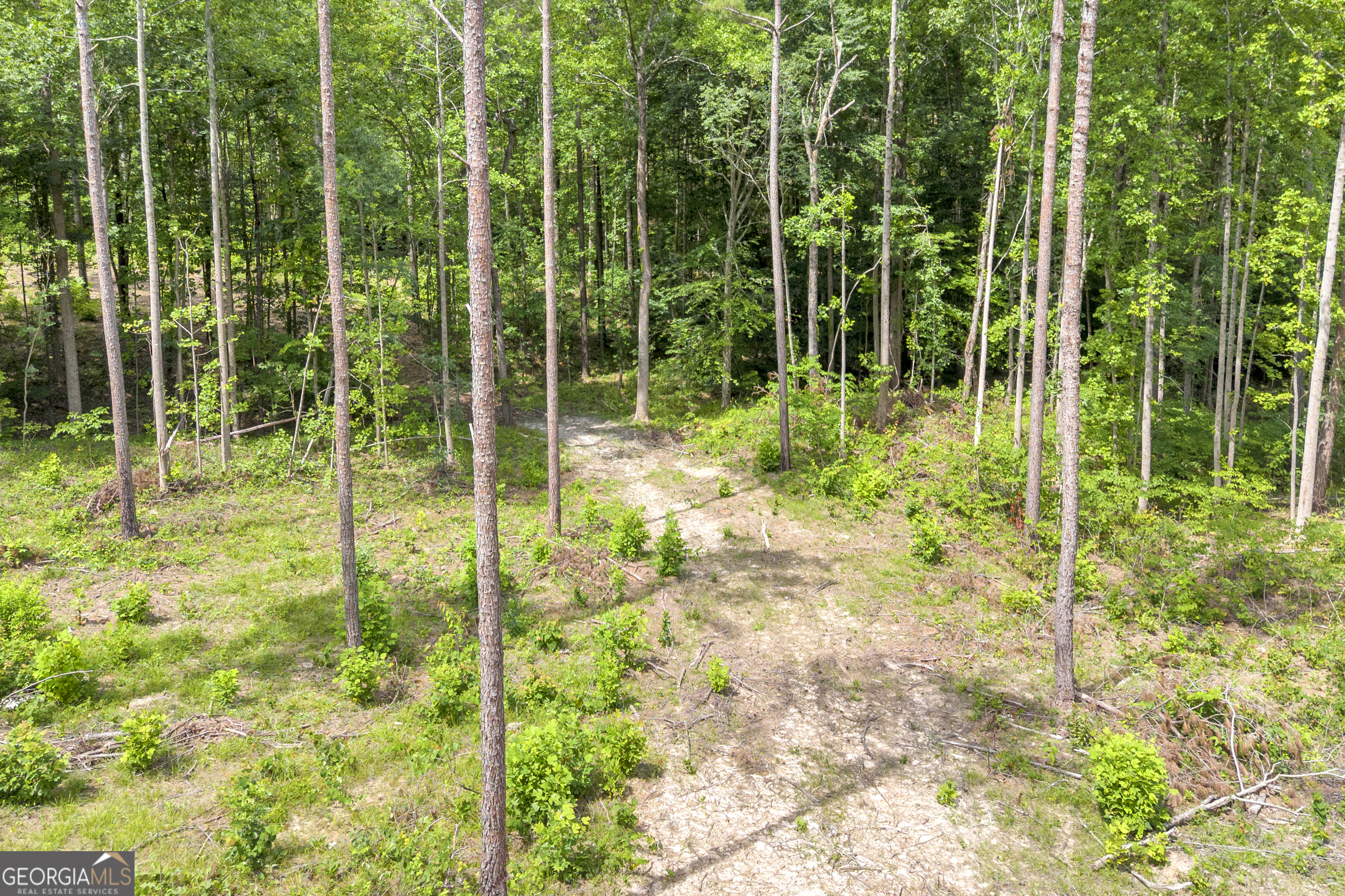 0 Mt. Sinai Lot 4 Property Photo 29