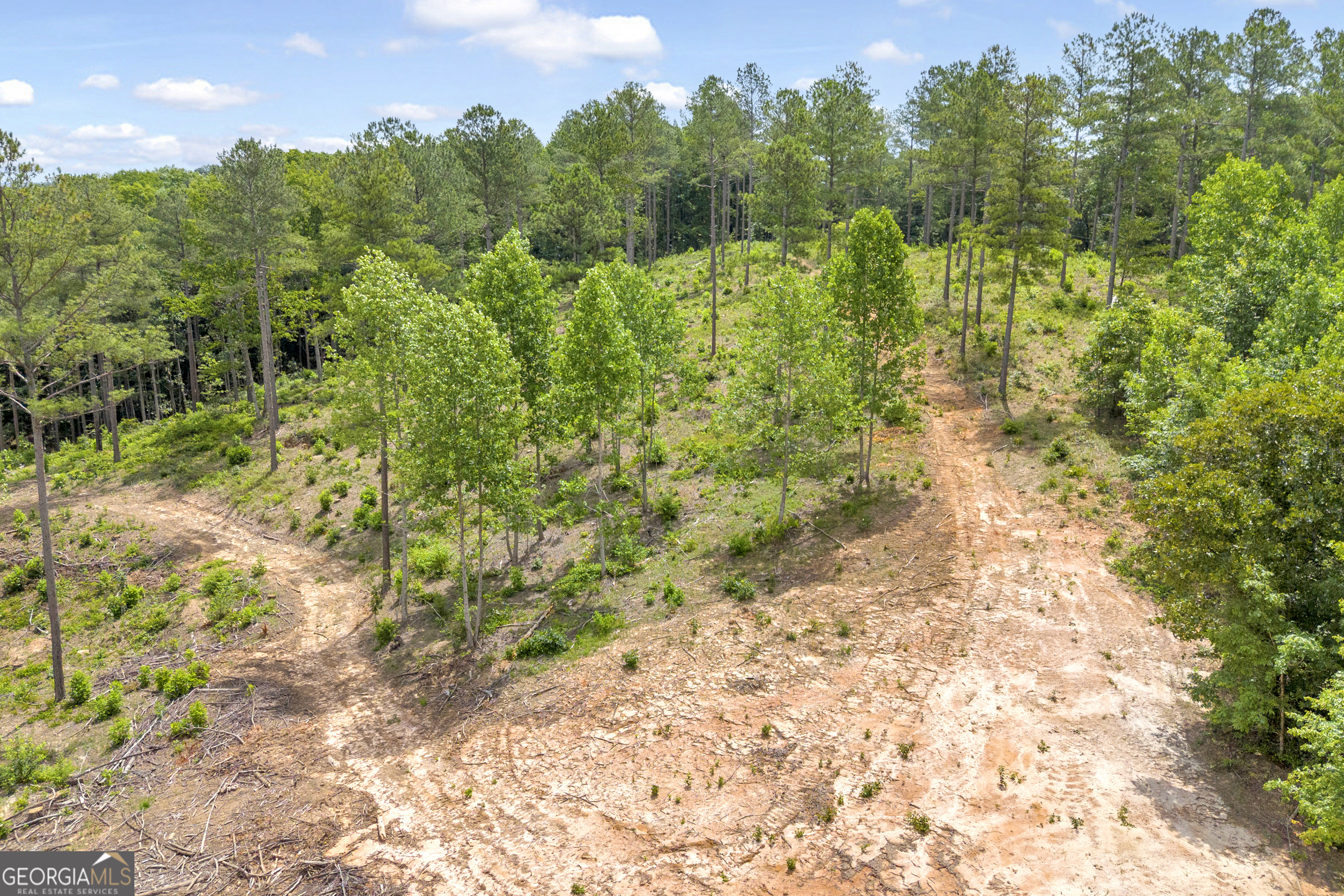 0 Mt. Sinai Lot 4 Property Photo 32