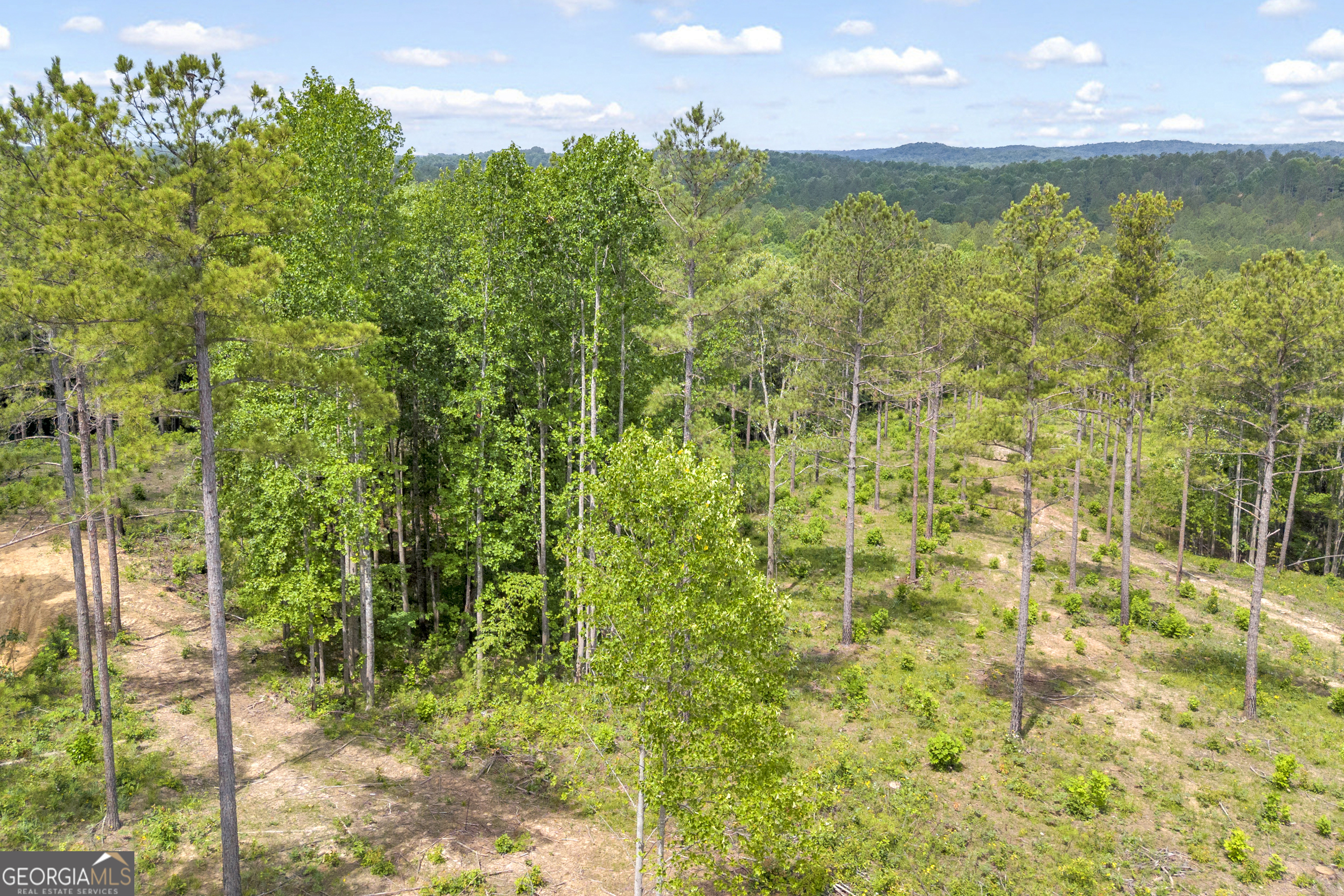 0 Mt. Sinai Lot 4 Property Photo 34