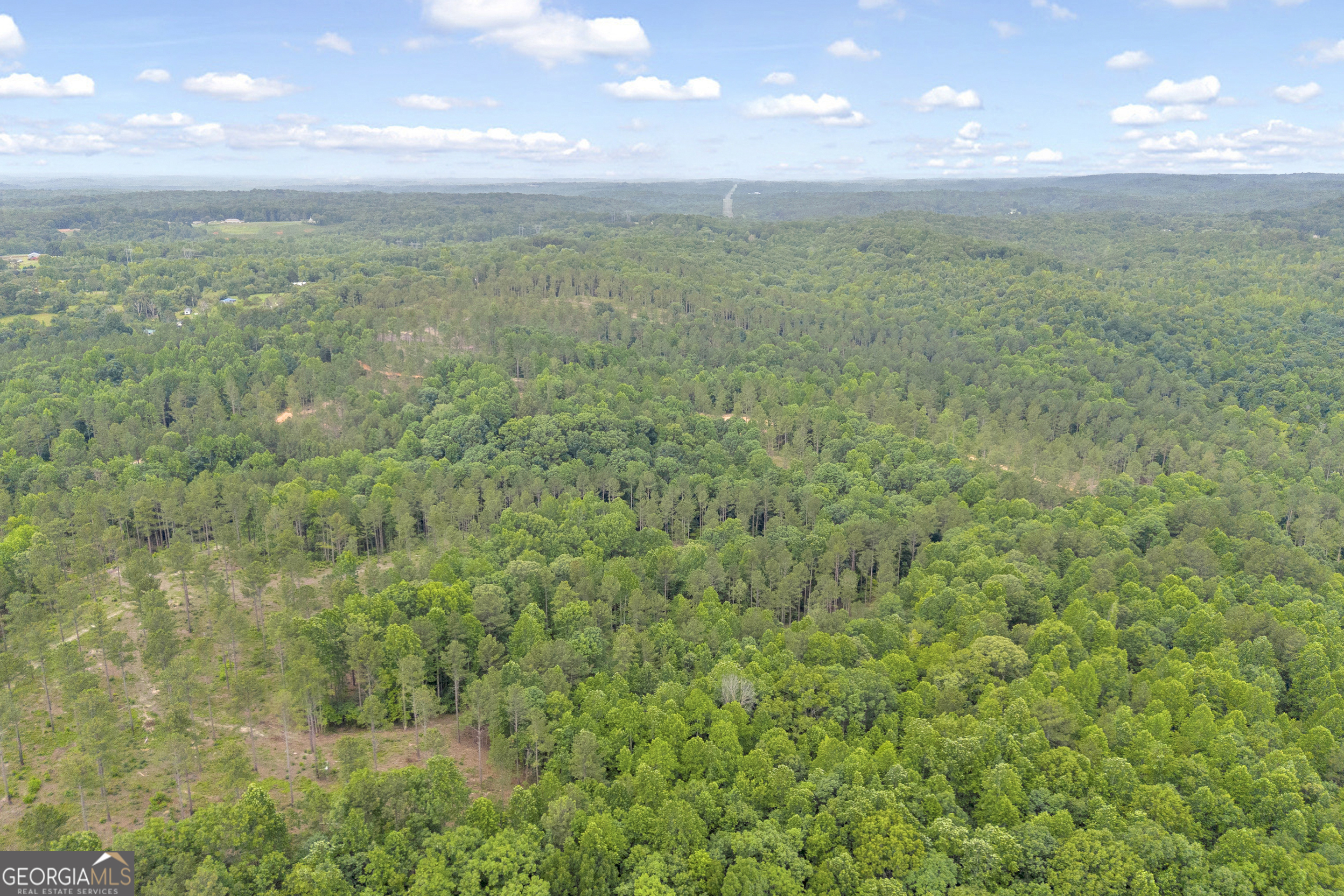 0 Mt. Sinai Lot 4 Property Photo 38