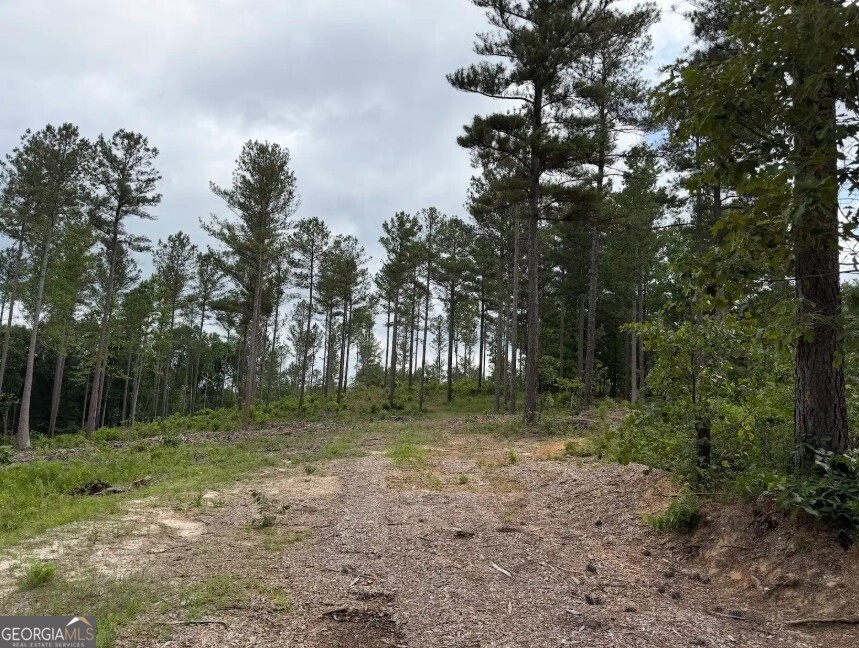 0 Mt. Sinai Lot 4 Property Photo 44