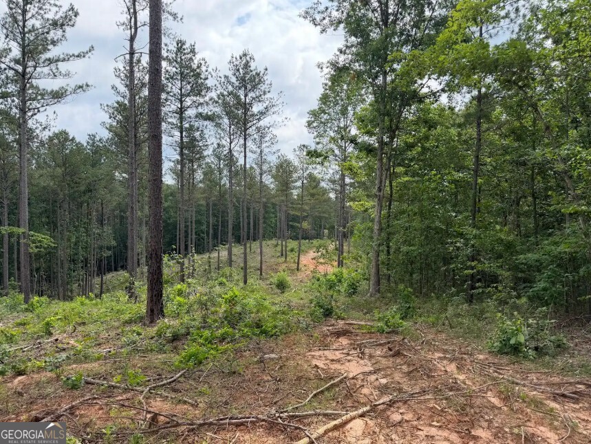 0 Mt. Sinai Lot 4 Property Photo 46