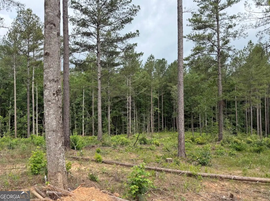 0 Mt. Sinai Lot 4 Property Photo 52