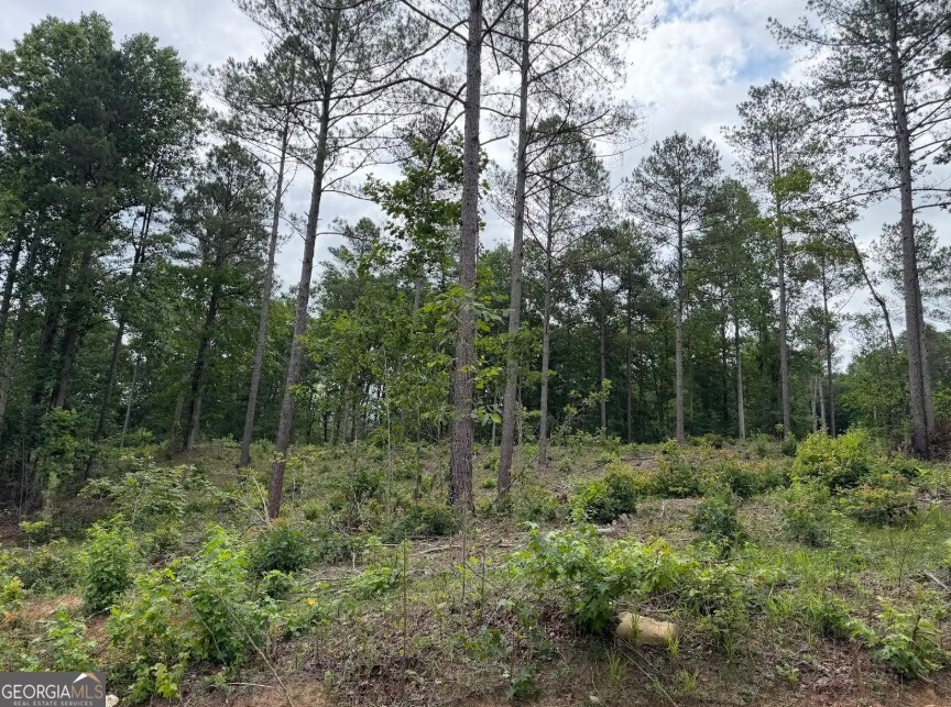 0 Mt. Sinai Lot 4 Property Photo 53