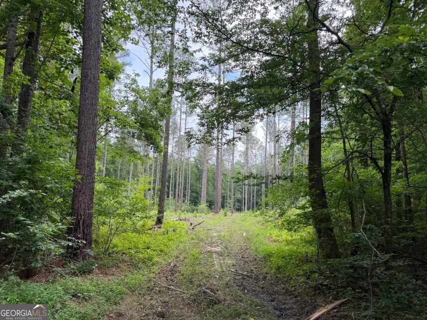 0 Mt. Sinai Lot 4 Property Photo 54