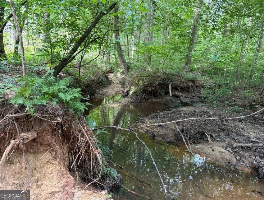 0 Mt. Sinai Lot 4 Property Photo 58