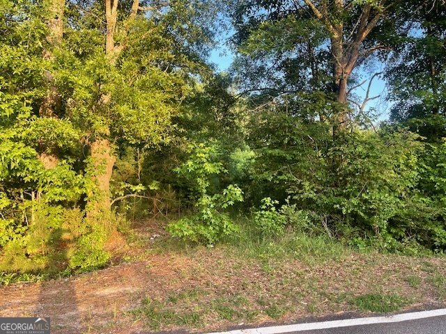 0 Mccrary Road - Tract 3 Property Photo 2