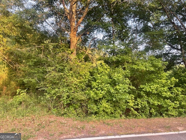 0 Mccrary Road - Tract 3 Property Photo 3