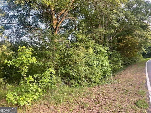0 Mccrary Road - Tract 3 Property Photo 4