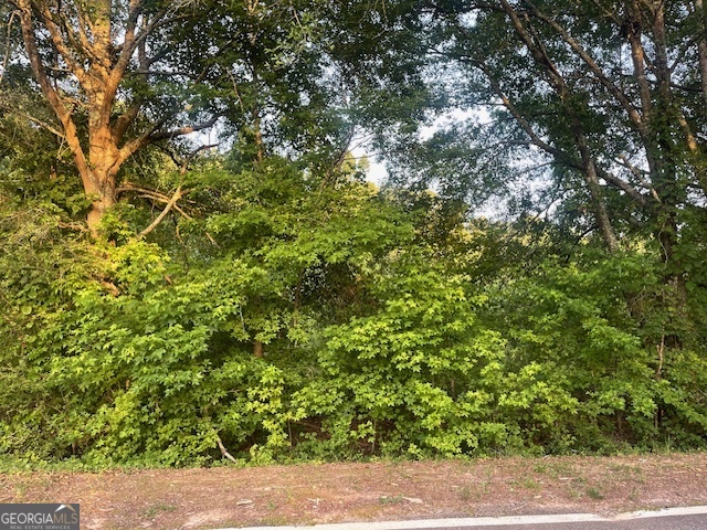 0 Mccrary Road - Tract 3 Property Photo 5