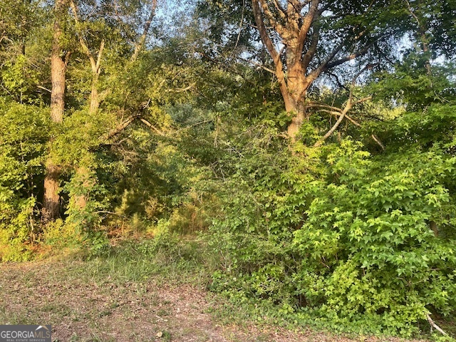0 Mccrary Road - Tract 3 Property Photo 6