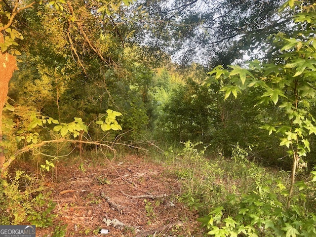 0 Mccrary Road - Tract 3 Property Photo 8