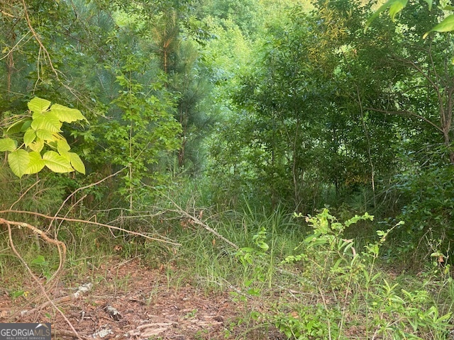 0 Mccrary Road - Tract 3 Property Photo 9