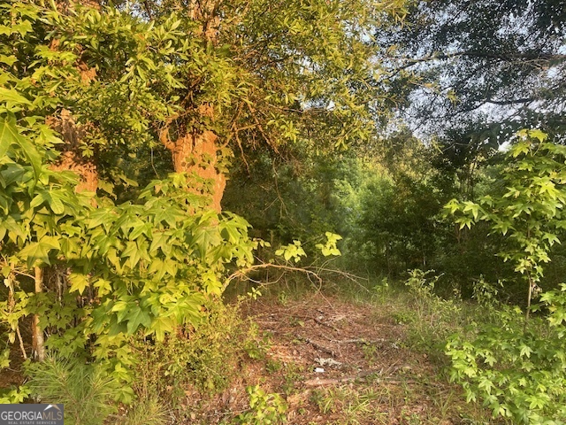 0 Mccrary Road - Tract 3 Property Photo 10