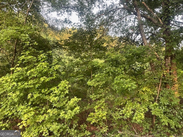 0 Mccrary Road - Tract 3 Property Photo 11