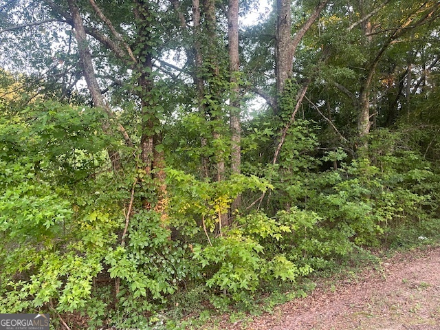 0 Mccrary Road - Tract 3 Property Photo 12