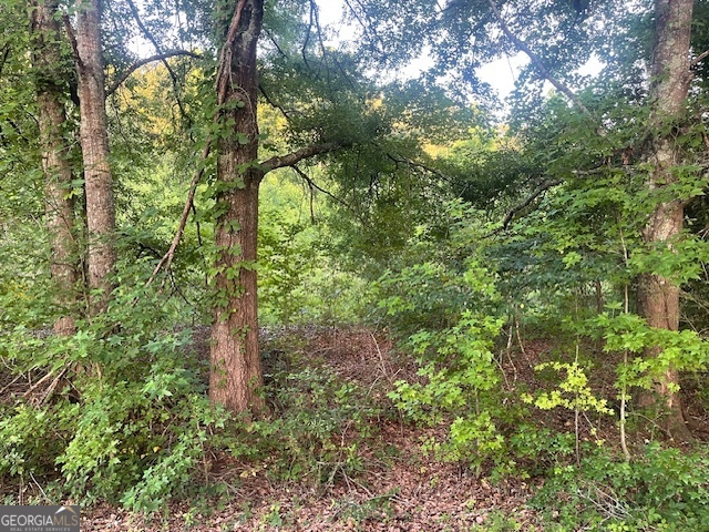 0 Mccrary Road - Tract 3 Property Photo 13