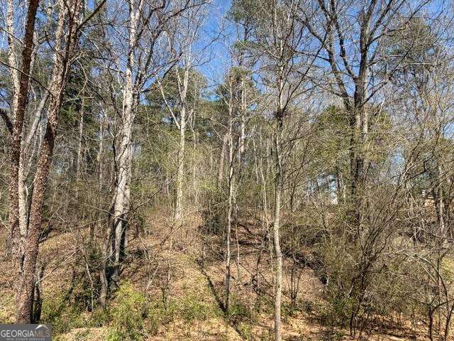0 Jack Pittman Road Property Photo 2