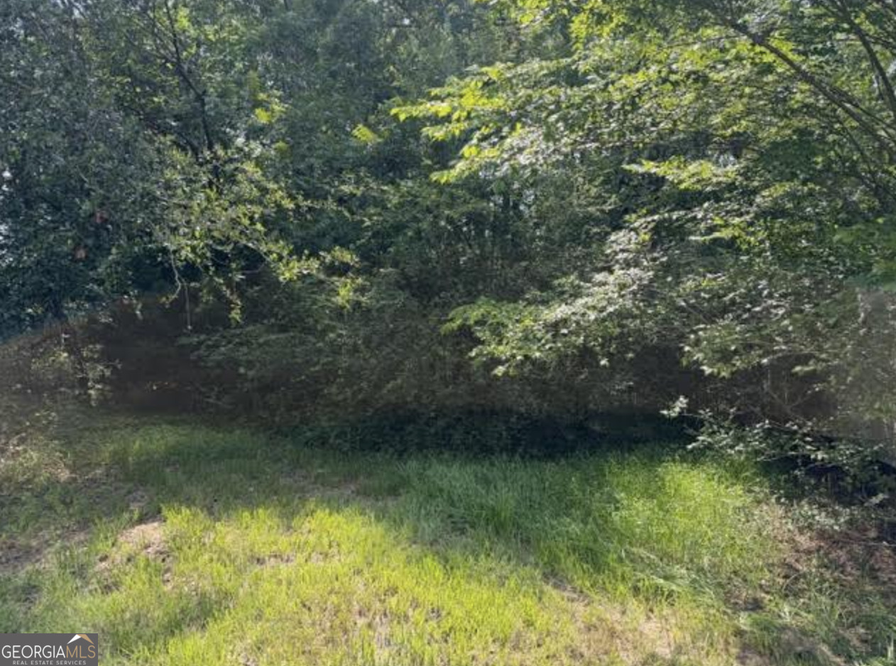 0 Milton Avenue Property Photo 1
