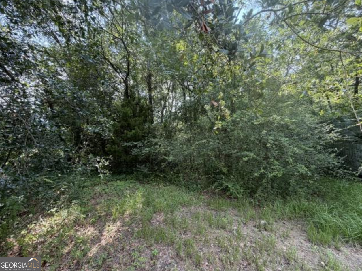 0 Milton Avenue Property Photo 2