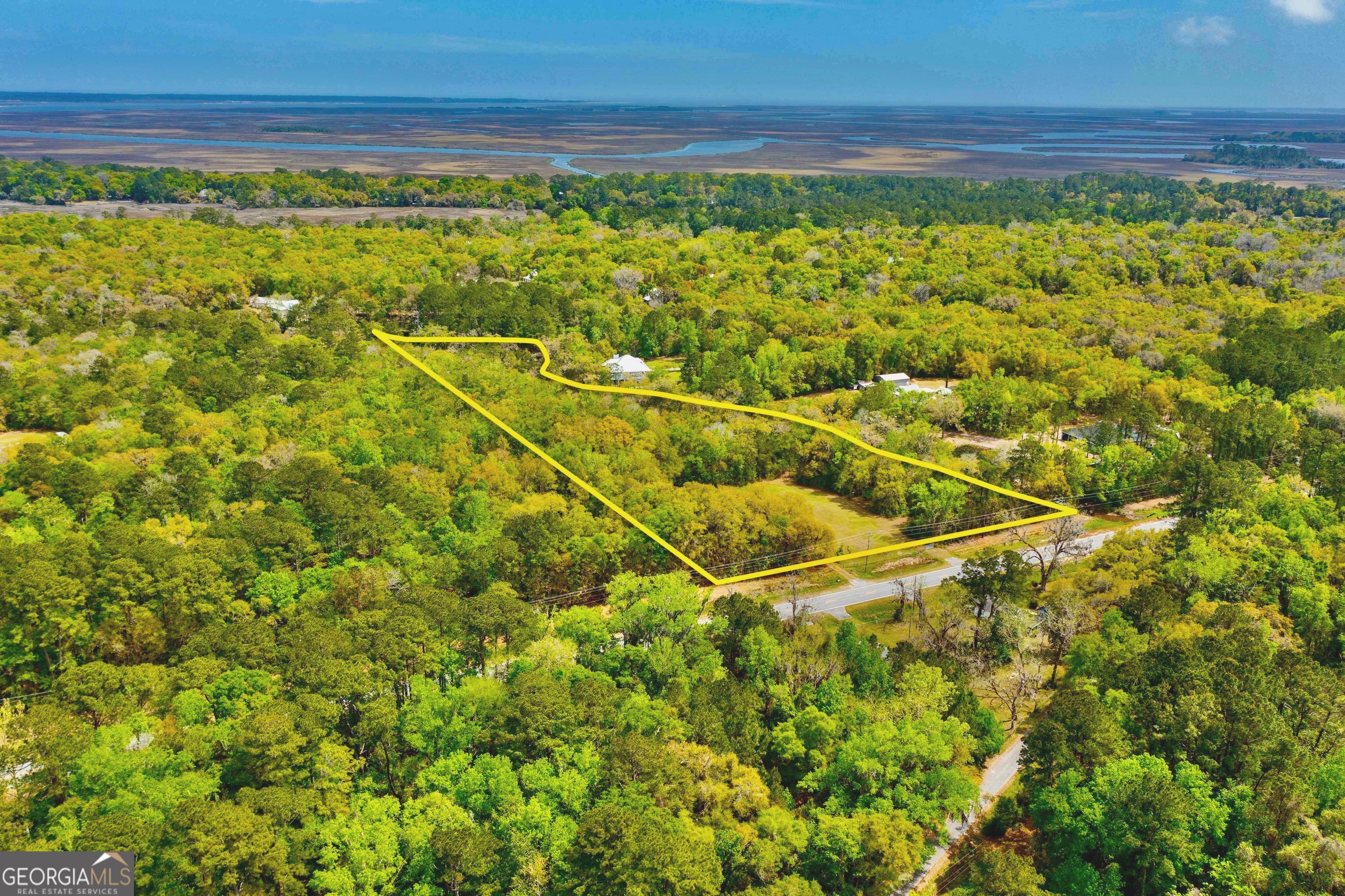 11817 Ga Highway 99 Property Photo 10